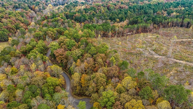 LOT48 Lower Creek Trl, Ellijay, GA 30540