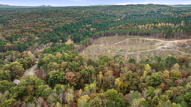 LOT48 Lower Creek Trl, Ellijay, GA 30540