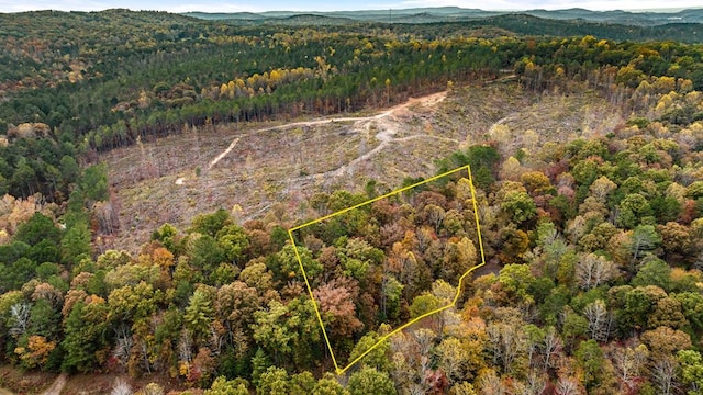 LOT48 Lower Creek Trl, Ellijay, GA 30540