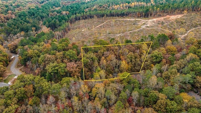 LOT48 Lower Creek Trl, Ellijay, GA 30540
