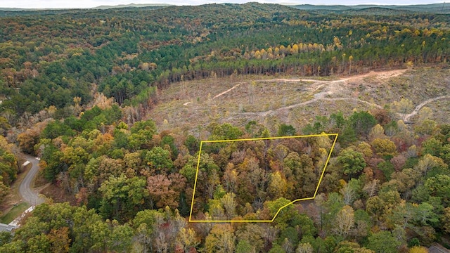 LOT48 Lower Creek Trl, Ellijay, GA 30540