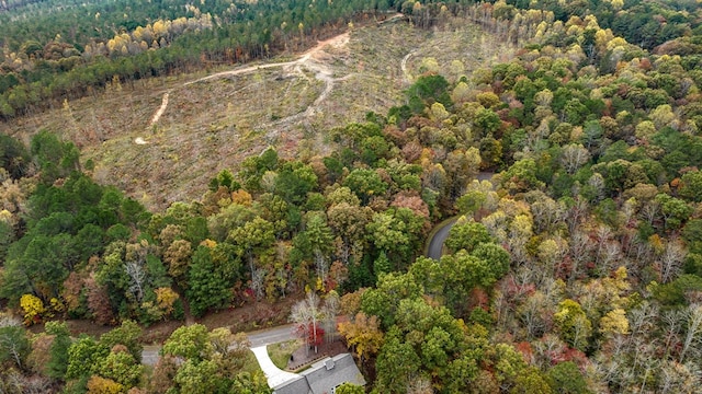 Listing photo 3 for LOT48 Lower Creek Trl, Ellijay GA 30540