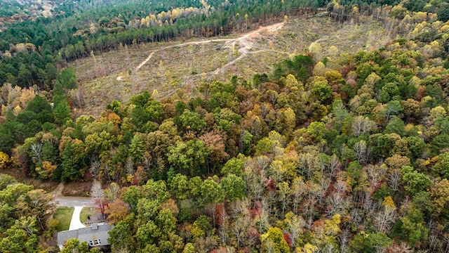 LOT48 Lower Creek Trl, Ellijay, GA 30540