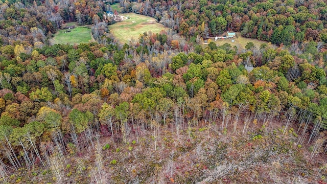 LOT48 Lower Creek Trl, Ellijay, GA 30540