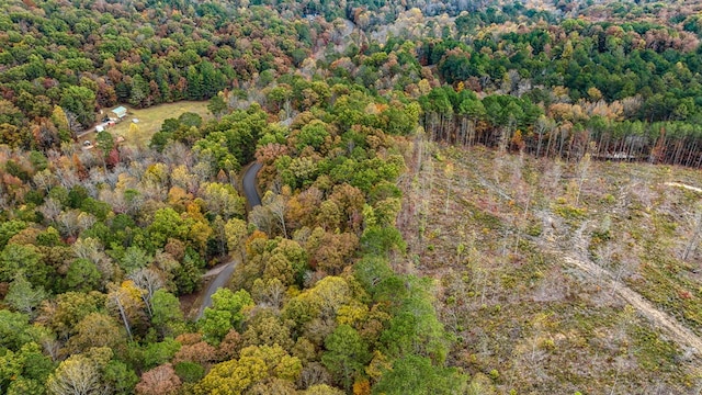 LOT48 Lower Creek Trl, Ellijay, GA 30540
