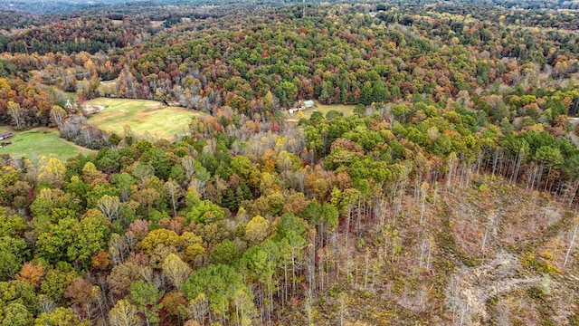 LOT48 Lower Creek Trl, Ellijay, GA 30540