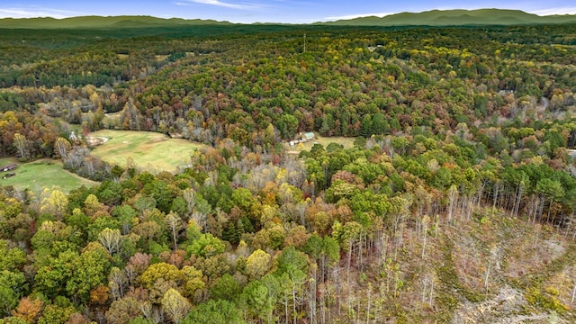 LOT48 Lower Creek Trl, Ellijay, GA 30540