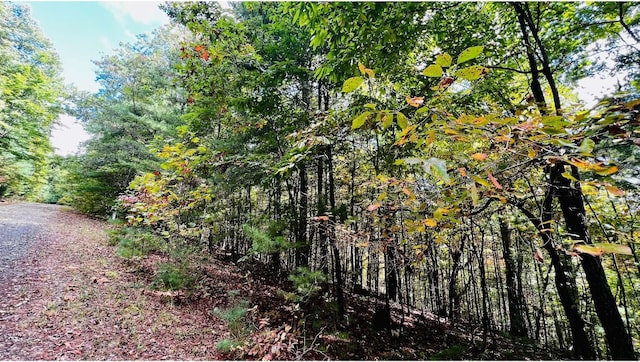 LOT3 Wild Turkey, Young Harris GA, 30582 land for sale