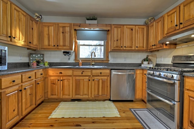 kitchen featuring light wood-type flooring, stainless steel appliances, tasteful backsplash, and sink