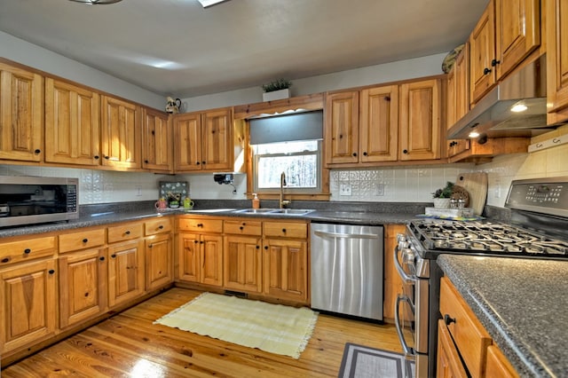 kitchen with backsplash, sink, appliances with stainless steel finishes, and light hardwood / wood-style flooring