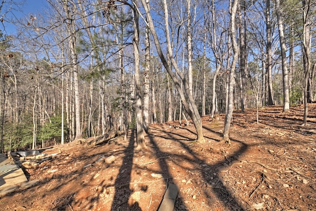 view of local wilderness