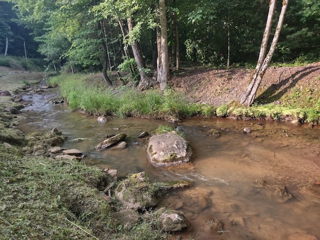 view of local wilderness featuring a forest view