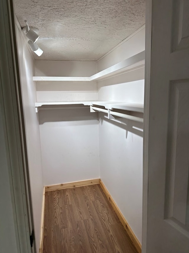 spacious closet featuring hardwood / wood-style floors