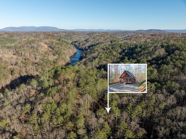 birds eye view of property with a mountain view