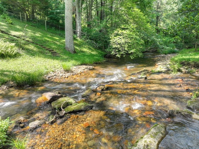 106 Butler Creek Rd, Cherry Log, GA 30522 - view of woods