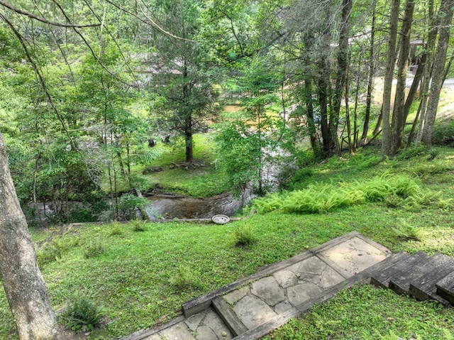 106 Butler Creek Rd, Cherry Log, GA 30522 - view of yard with a forest view