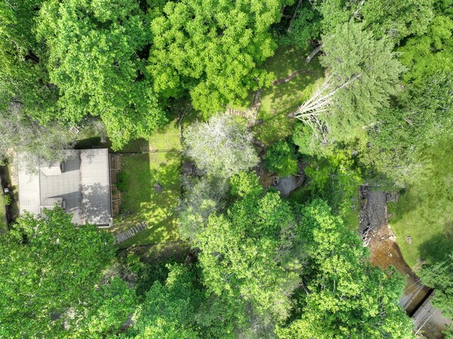 106 Butler Creek Rd, Cherry Log, GA 30522 - view of property location