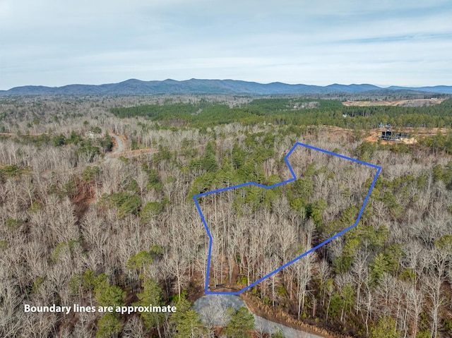 LOT127 Red Hawk Ln, Ellijay GA, 30540 land for sale