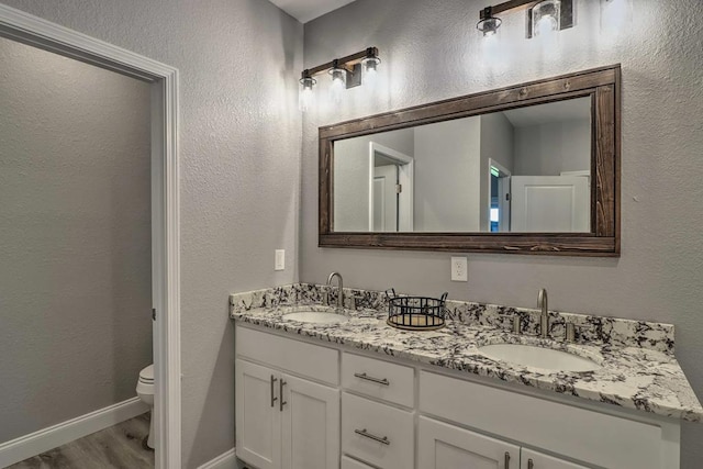 bathroom with hardwood / wood-style flooring, vanity, and toilet