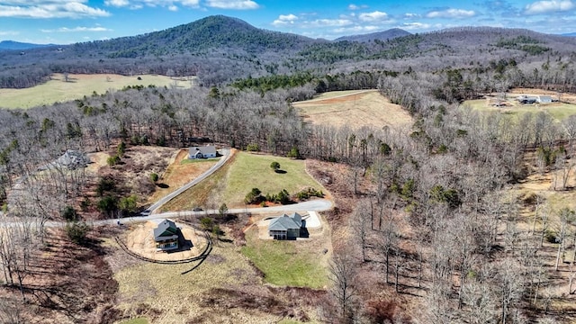bird's eye view with a mountain view and a view of trees