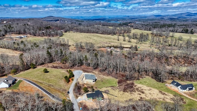 birds eye view of property featuring a mountain view