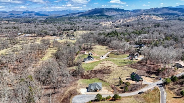 bird's eye view featuring a mountain view and a view of trees