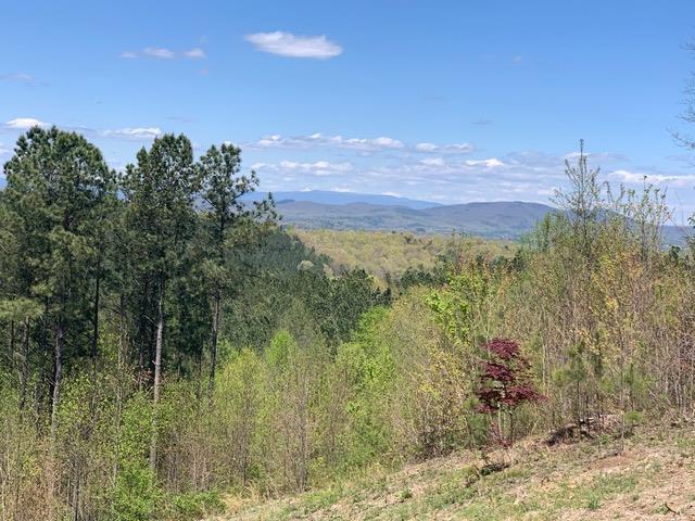 LOT84 Ridge Peak Vw, Blairsville GA, 30512 land for sale