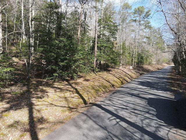 LOT1 Spring Ridge Dr, Morganton GA, 30560 land for sale