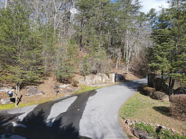 Listing photo 3 for LOT1 Spring Ridge Dr, Morganton GA 30560