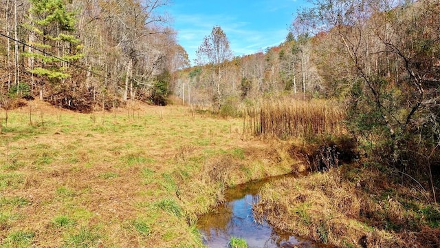 TR3B Wolf Pen Gap Rd, Ellijay GA, 30540 land for sale