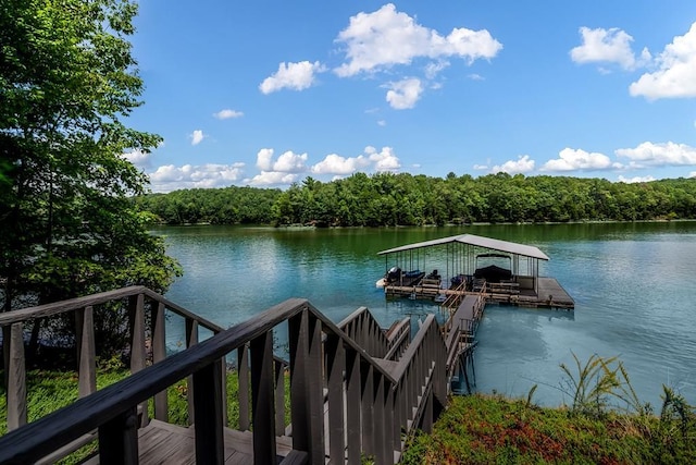 dock area with a water view