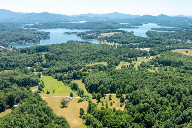 LOT6 Hidden Forest Ln, Hayesville NC, 28904 land for sale