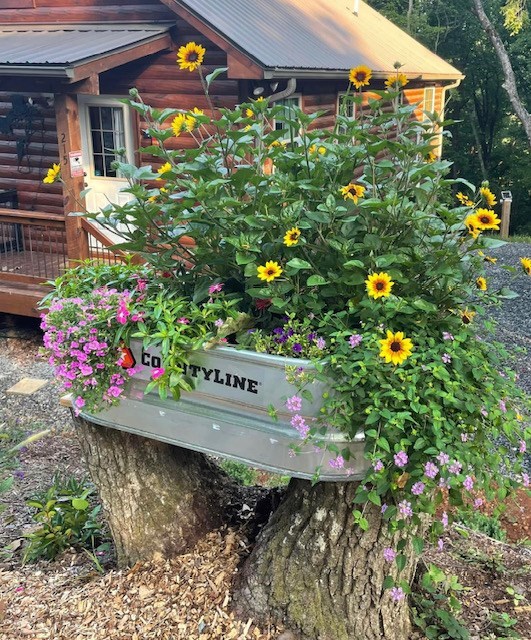 exterior details with metal roof and log siding
