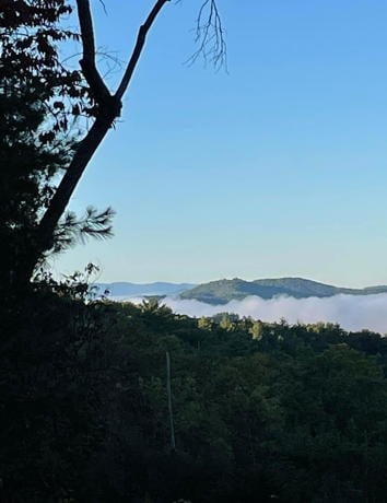 property view of mountains featuring a view of trees
