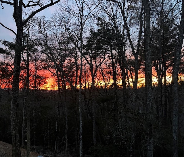 view of nature with a view of trees