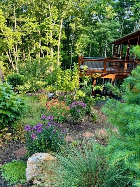 view of yard featuring a wooden deck