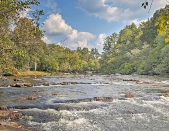 953 Lemmon Ln, Ellijay, GA 30540 - view of tree filled area