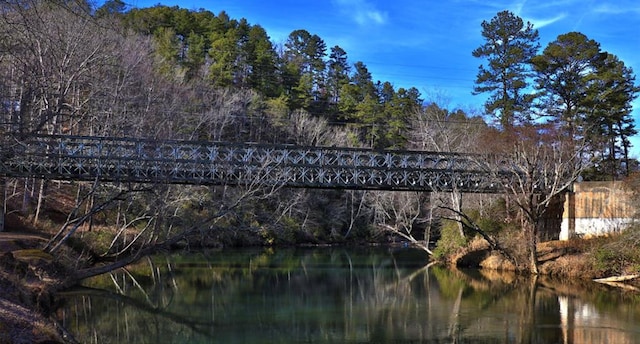 953 Lemmon Ln, Ellijay, GA 30540 - water view