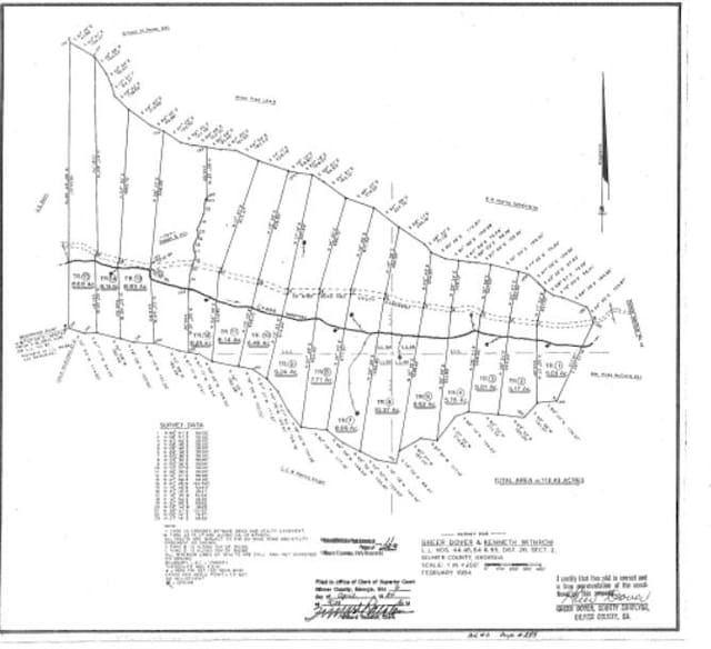 953 Lemmon Ln, Ellijay, GA 30540 - map of parcels