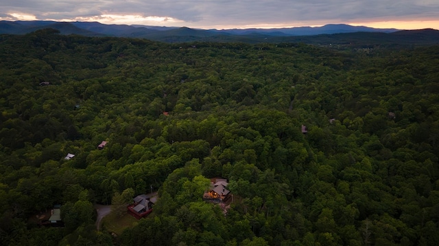 birds eye view of property featuring a mountain view and a wooded view