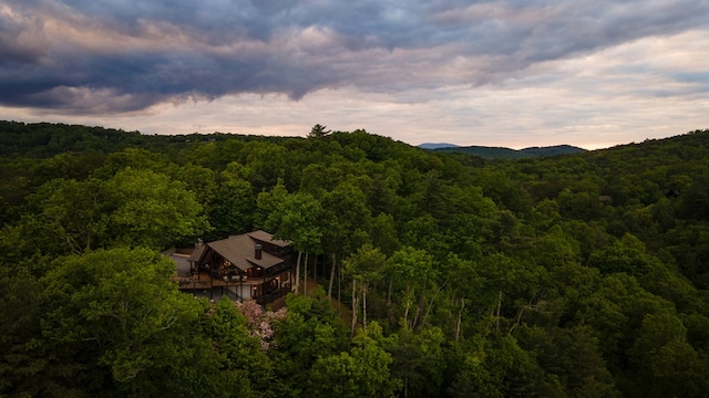 mountain view featuring a forest view