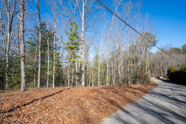 Listing photo 3 for LOT27 Ridge Rd, Blue Ridge GA 30513