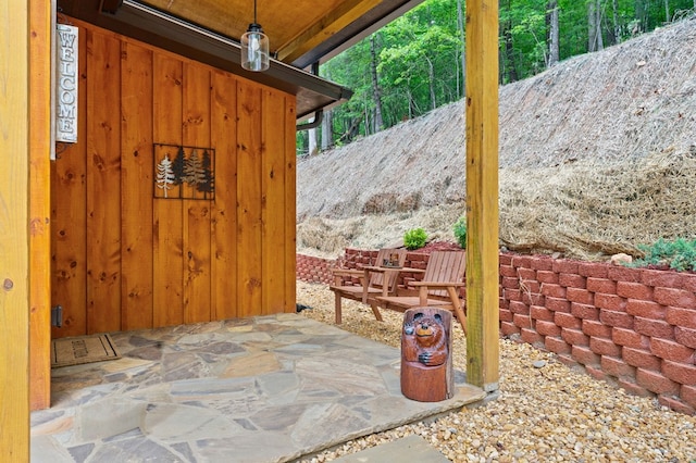 370 Fugue Dr, Ellijay, GA 30540 - view of patio