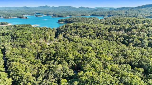 aerial view featuring a water and mountain view