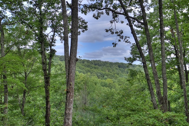 view of local wilderness