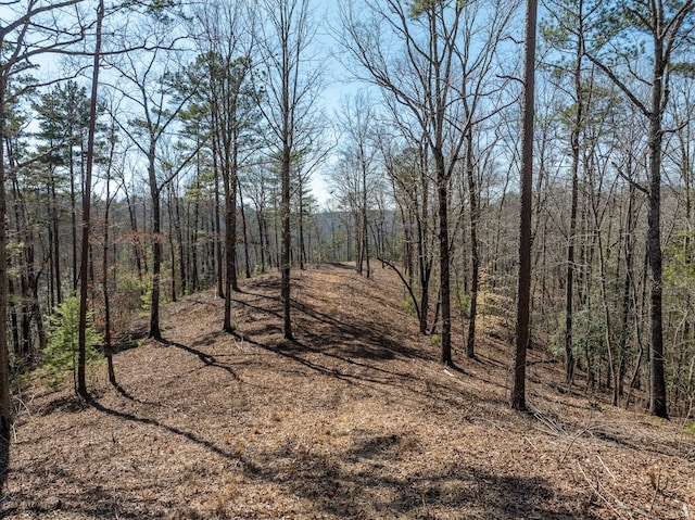 Listing photo 3 for LT134 Sundown Trl, Ellijay GA 30540