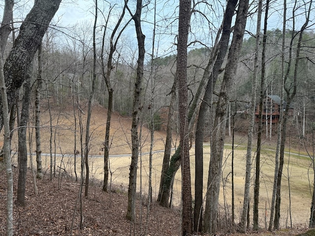 Listing photo 3 for LOT100 Kingwood Ct, Clayton GA 30525