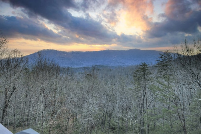 view of mountain feature with a view of trees