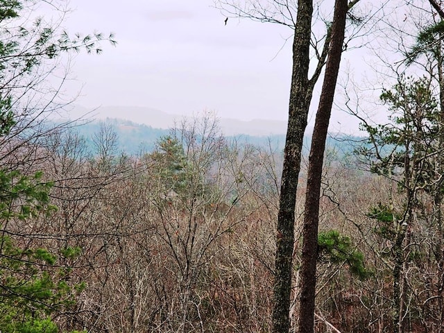 LOT48 Wayah Rdg, Murphy NC, 28906 land for sale