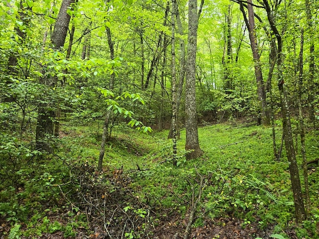 H7 River Sound Vlg, Hayesville, NC 28904